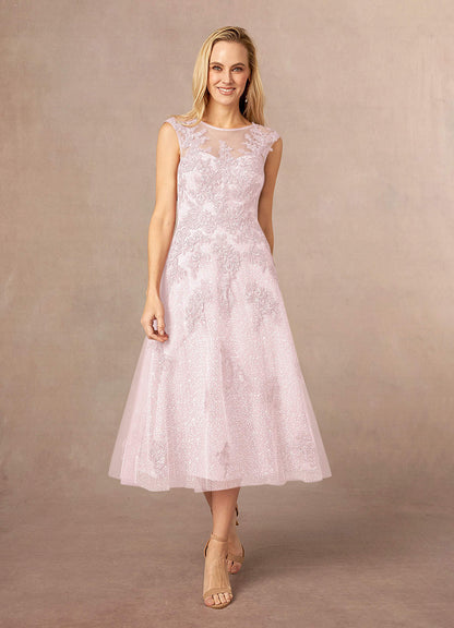 Blushing Pink A-Line Boatneck Lace Tulle Dress