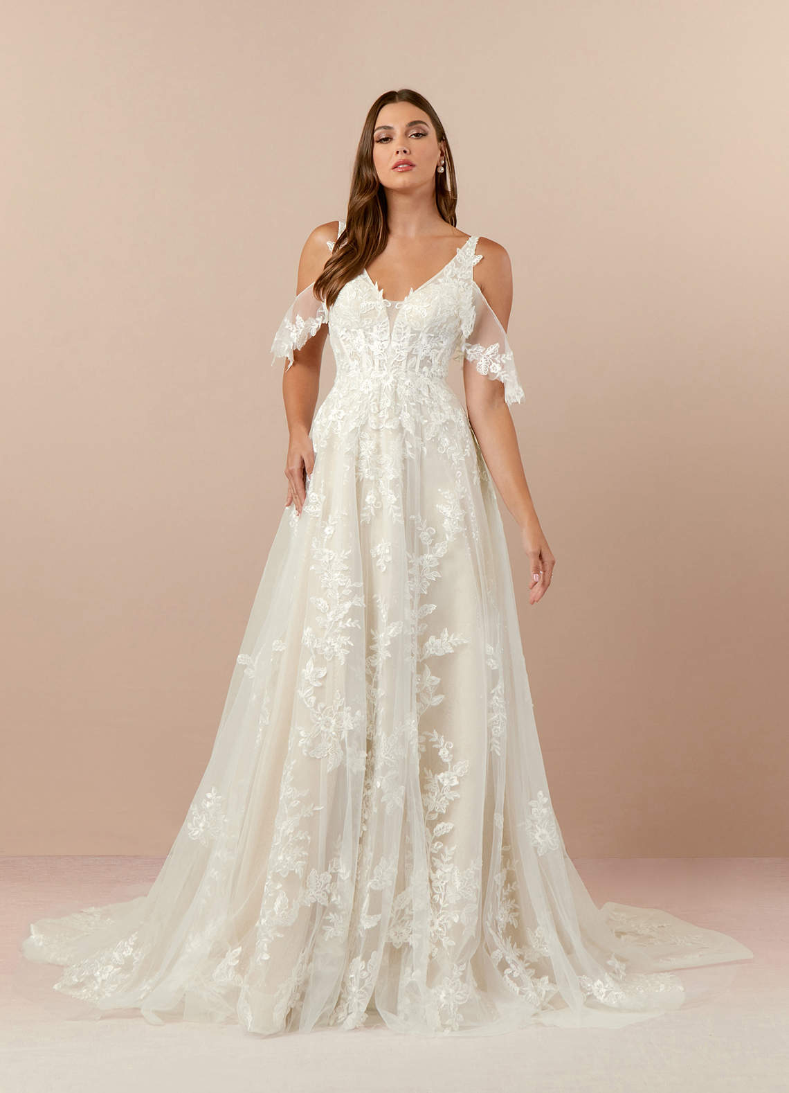 Diamond White Champagne A-Line V-Neck lace Tulle Dress