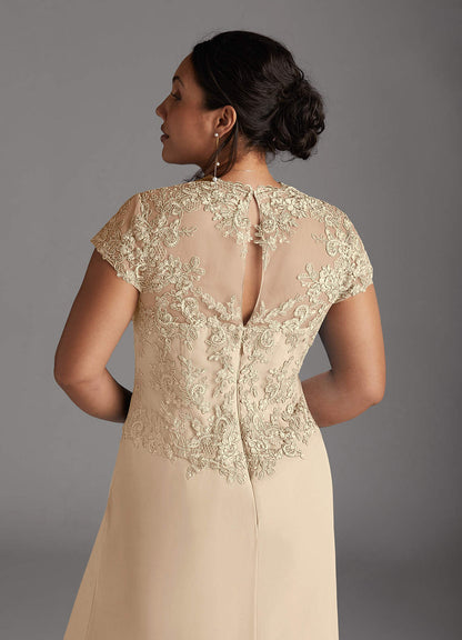 Champagne A-Line Lace Chiffon Dress