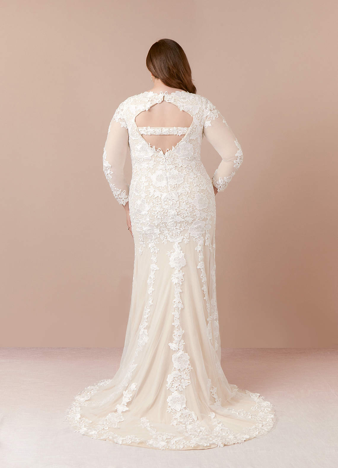 Diamond White Champagne Mermaid V-Neck lace Tulle Dress