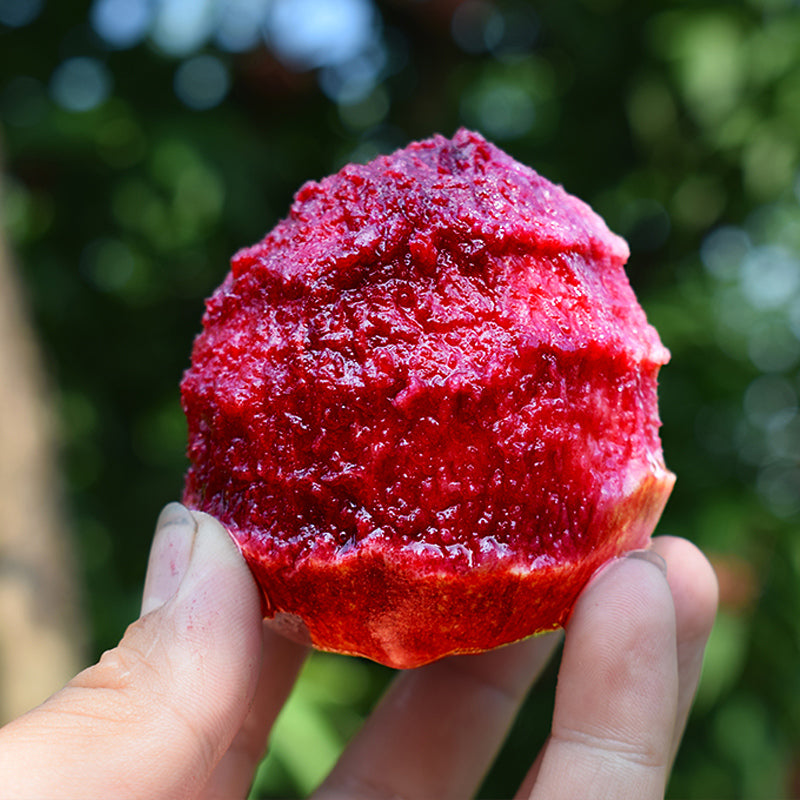 Blood Peach Seeds