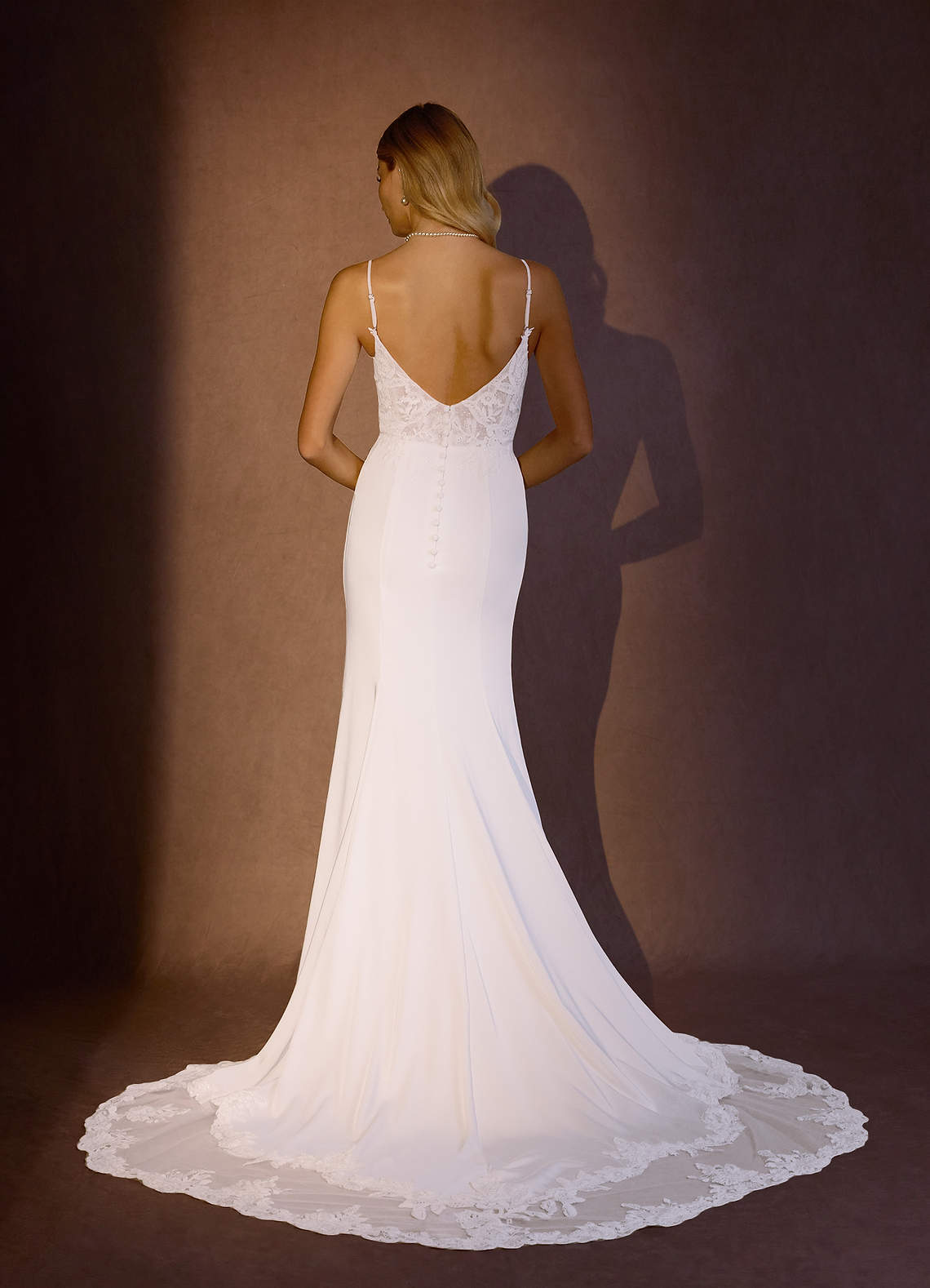 Diamond White Mermaid V-Neck lace Crepe Back Satin Dress