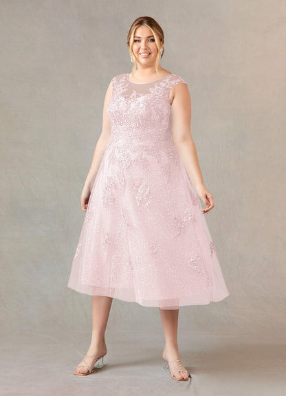 Blushing Pink A-Line Boatneck Lace Tulle Dress
