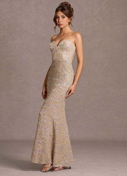 Daphne Champagne Sequins Maxi Dress
