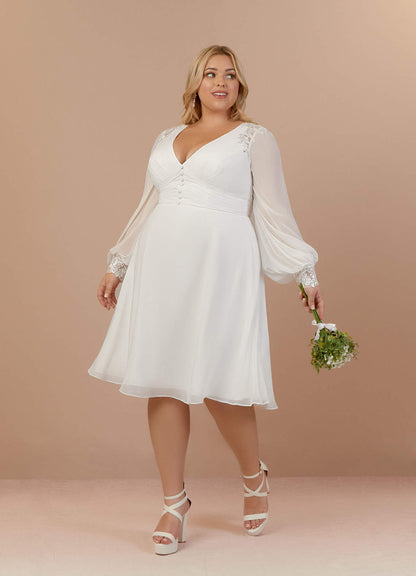 Diamond White A-Line V-Neck Lace Chiffon Dress