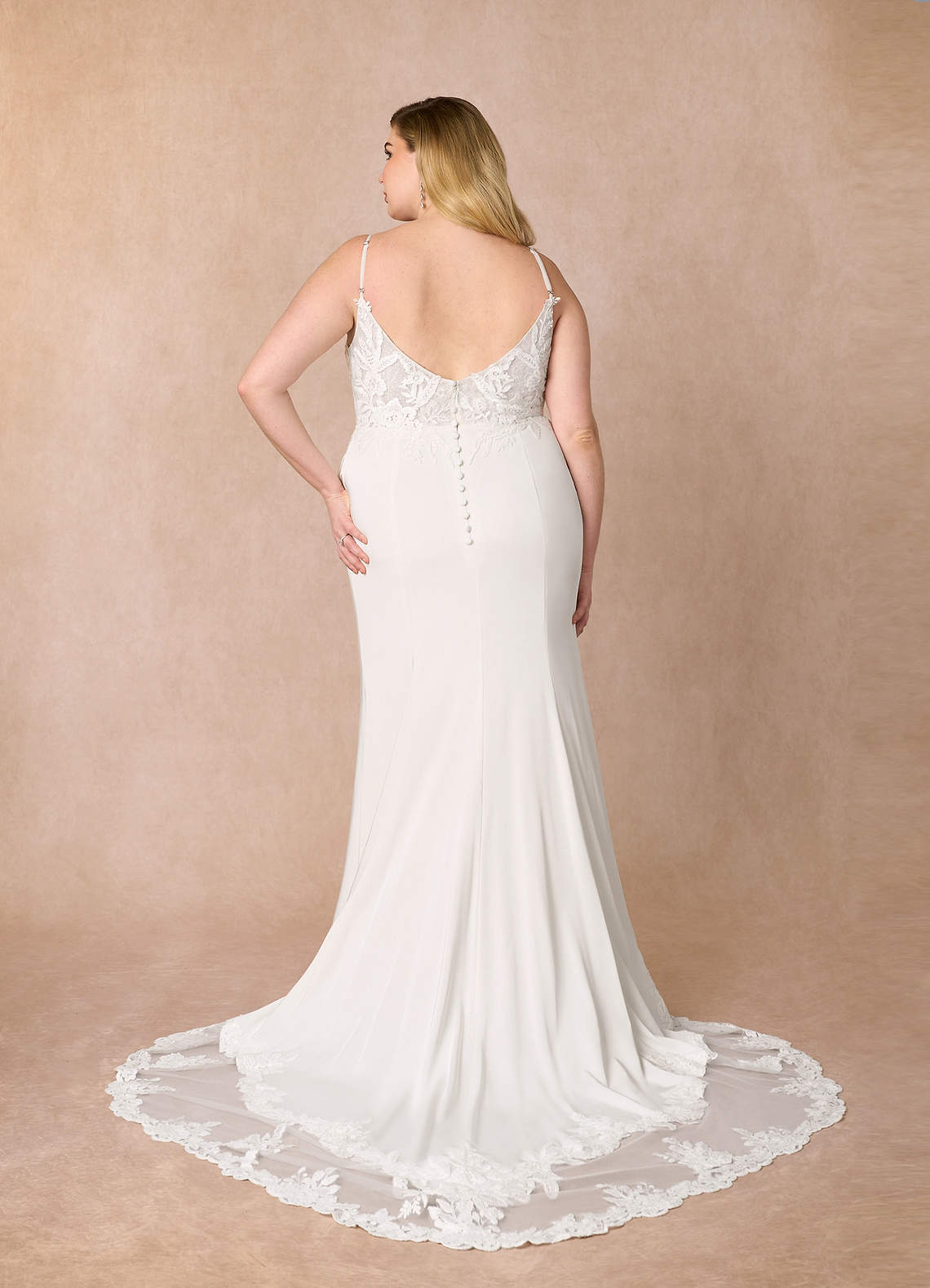 Diamond White Mermaid V-Neck lace Crepe Back Satin Dress