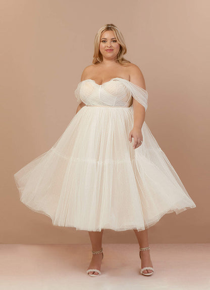 Diamond White Champagne A-Line Off-The-Shouler Tulle Dress