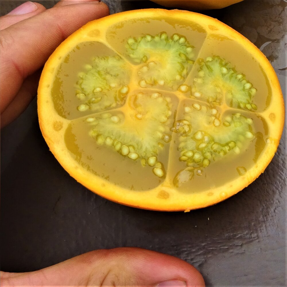 Lulo Seeds