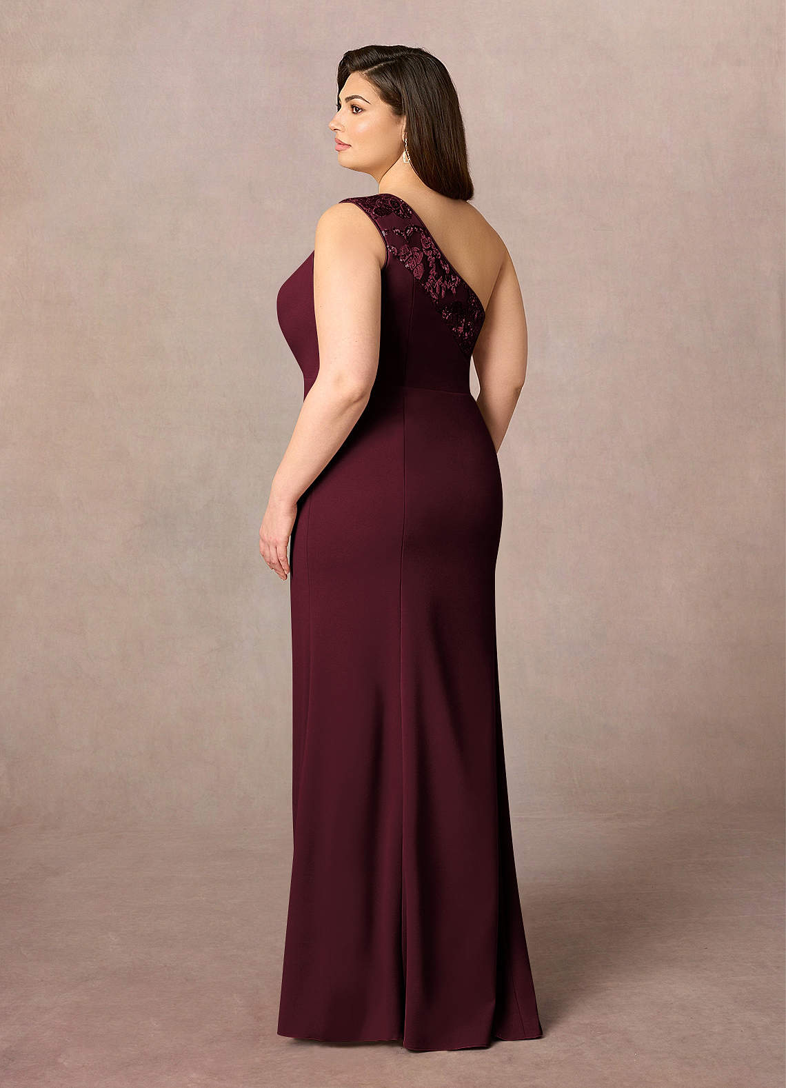 Cabernet Mermaid Sequins Lace Dress