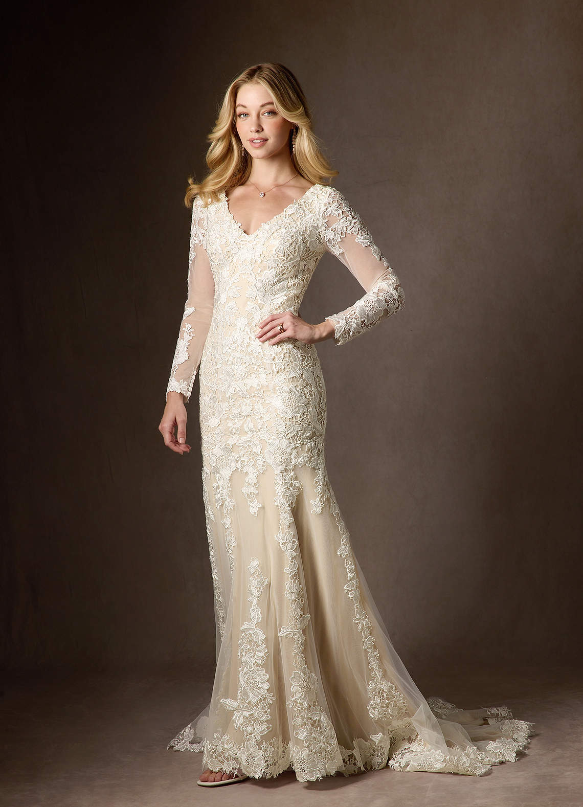 Diamond White Champagne Mermaid V-Neck lace Tulle Dress