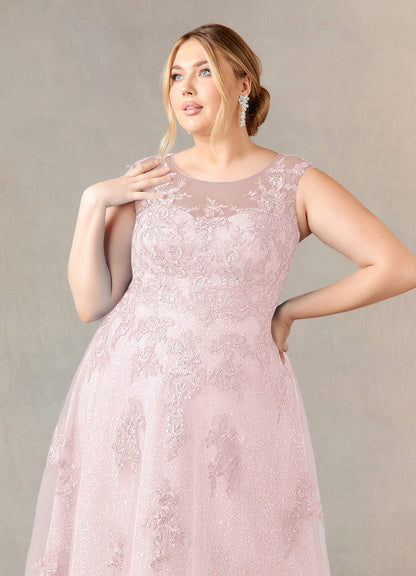 Blushing Pink A-Line Boatneck Lace Tulle Dress