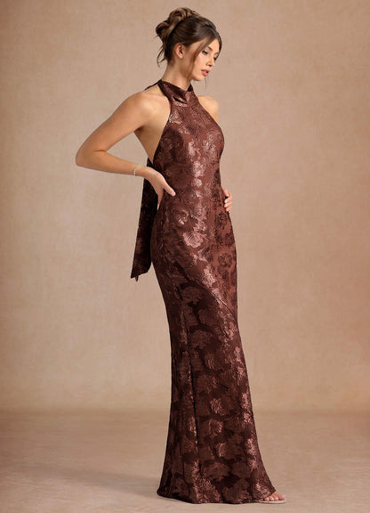 Dillon Mocha Coco Maxi Dress