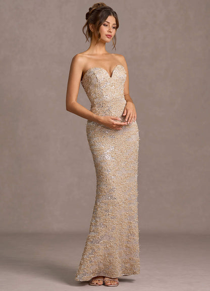 Daphne Champagne Sequins Maxi Dress