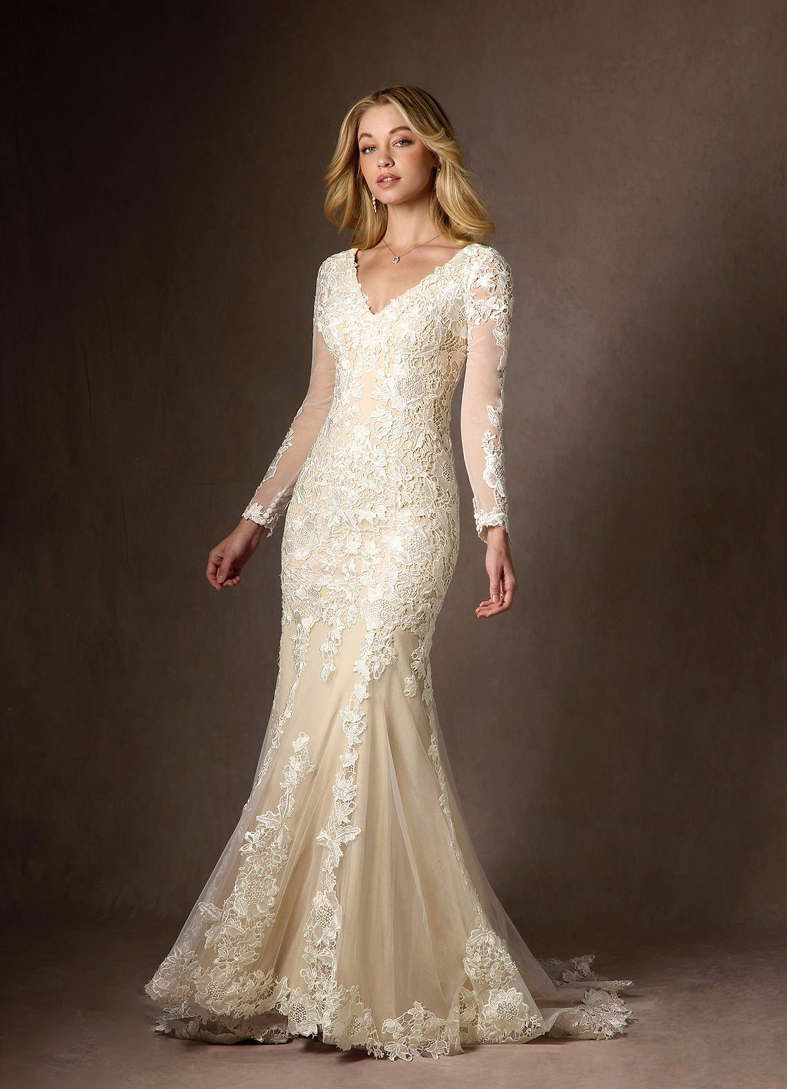 Diamond White Champagne Mermaid V-Neck lace Tulle Dress