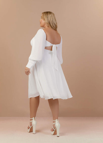 Diamond White A-Line V-Neck Pleated Chiffon Dress