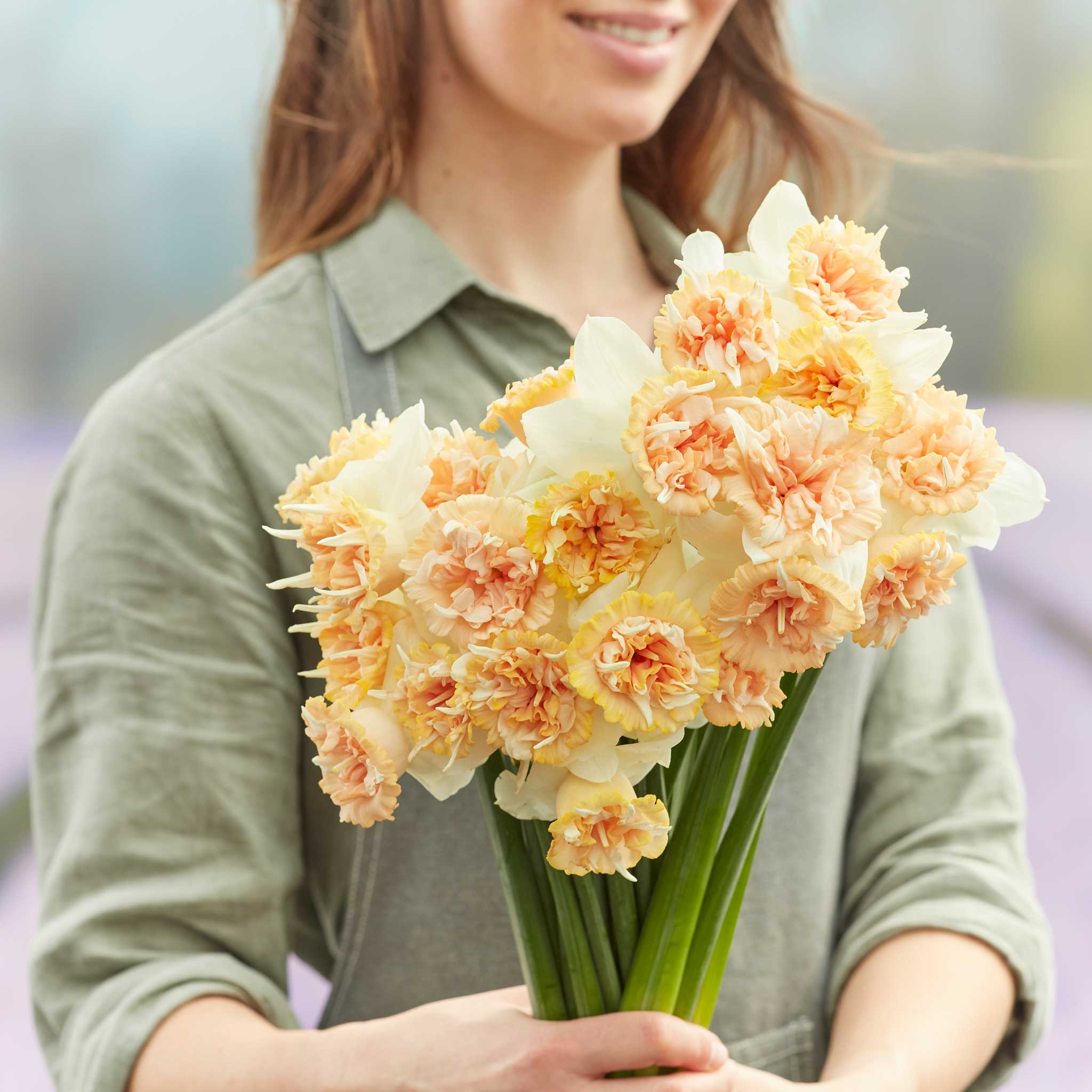 Daffodil Bulbs (Double) - Petit Four