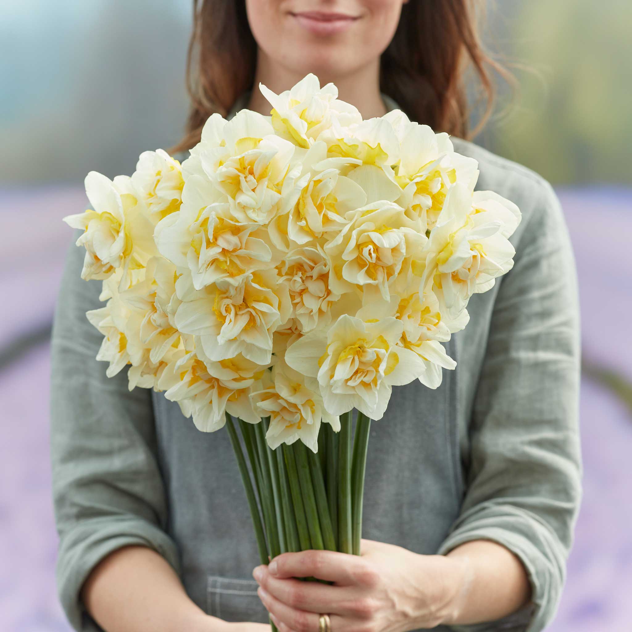 Daffodil Bulbs (Double) - White Lion