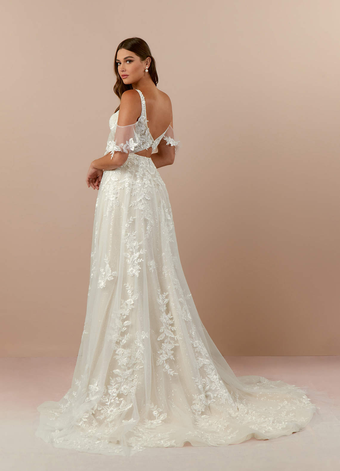 Diamond White Champagne A-Line V-Neck lace Tulle Dress