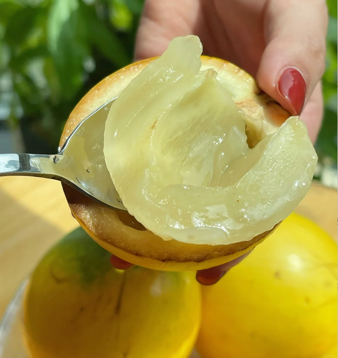 Golden Fruit Seeds