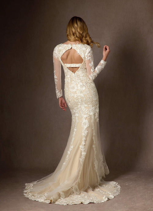 Diamond White Champagne Mermaid V-Neck lace Tulle Dress