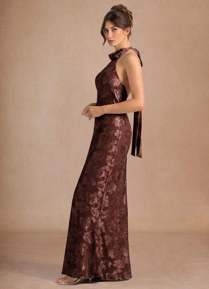 Dillon Mocha Coco Maxi Dress