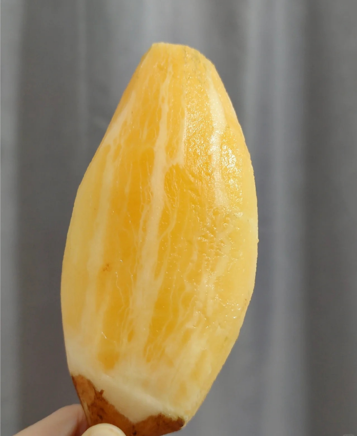 Yacon Seeds