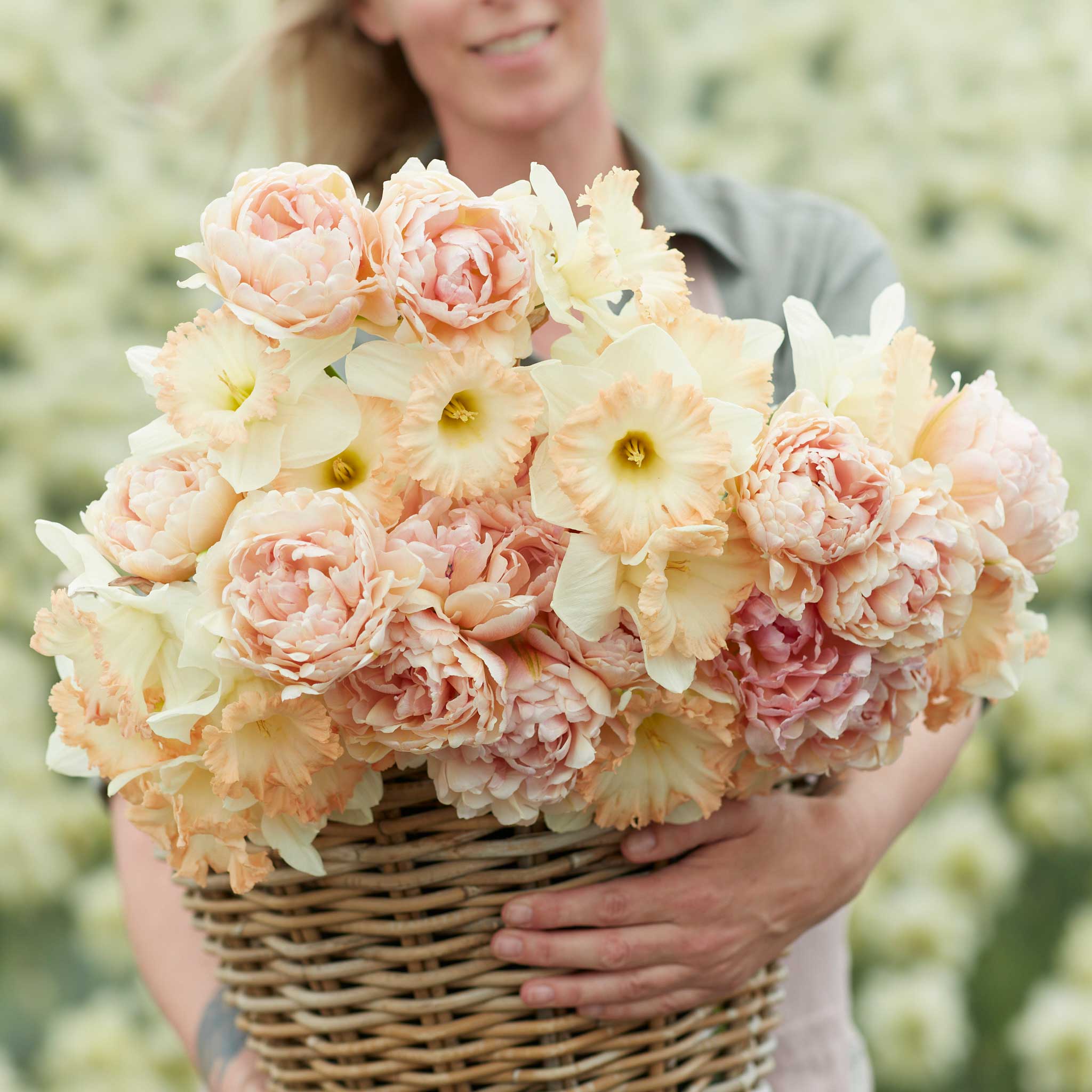Tulip & Daffodil Wonderland Mix